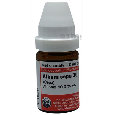 Allium Cepa