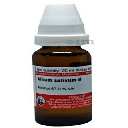 Allium Sativa