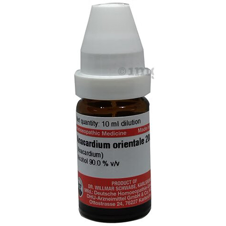 Anacardium Orient