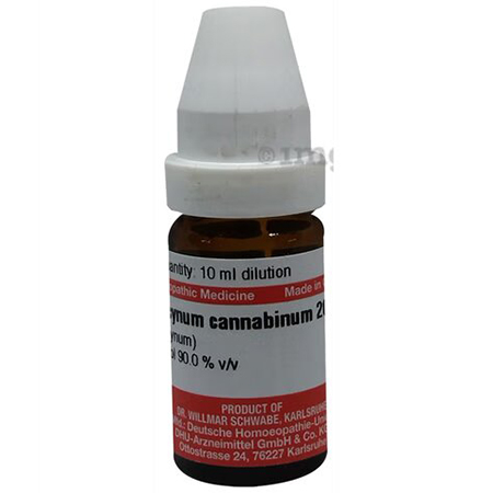 Apocynum