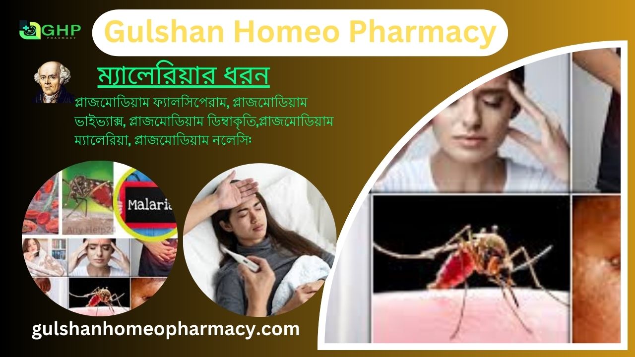 ম্যালেরিয়া কী? ম্যালেরিয়ার কারণ, ম্যালেরিয়ার ধরন, ম্যালেরিয়ার লক্ষণ, হোমিওপ্যাথিতে ম্যালেরিয়ার সমাধান