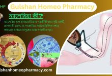 ম্যালেরিয়া কী? ম্যালেরিয়ার কারণ, ম্যালেরিয়ার ধরন, ম্যালেরিয়ার লক্ষণ, হোমিওপ্যাথিতে ম্যালেরিয়ার সমাধান