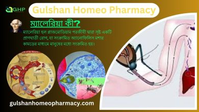 ম্যালেরিয়া কী? ম্যালেরিয়ার কারণ, ম্যালেরিয়ার ধরন, ম্যালেরিয়ার লক্ষণ, হোমিওপ্যাথিতে ম্যালেরিয়ার সমাধান