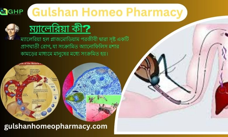ম্যালেরিয়া কী? ম্যালেরিয়ার কারণ, ম্যালেরিয়ার ধরন, ম্যালেরিয়ার লক্ষণ, হোমিওপ্যাথিতে ম্যালেরিয়ার সমাধান