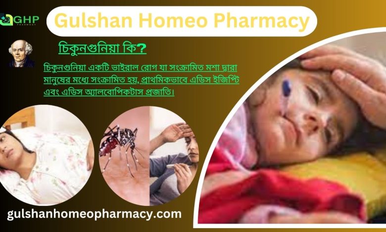 চিকুনগুনিয়া কি?, চিকুনগুনিয়া হওয়ার কারণ, চিকুনগুনিয়ার প্রকার, চিকুনগুনিয়ার লক্ষণ, চিকুনগুনিয়া হোমিওপ্যাথি দ্বারা সমাধান