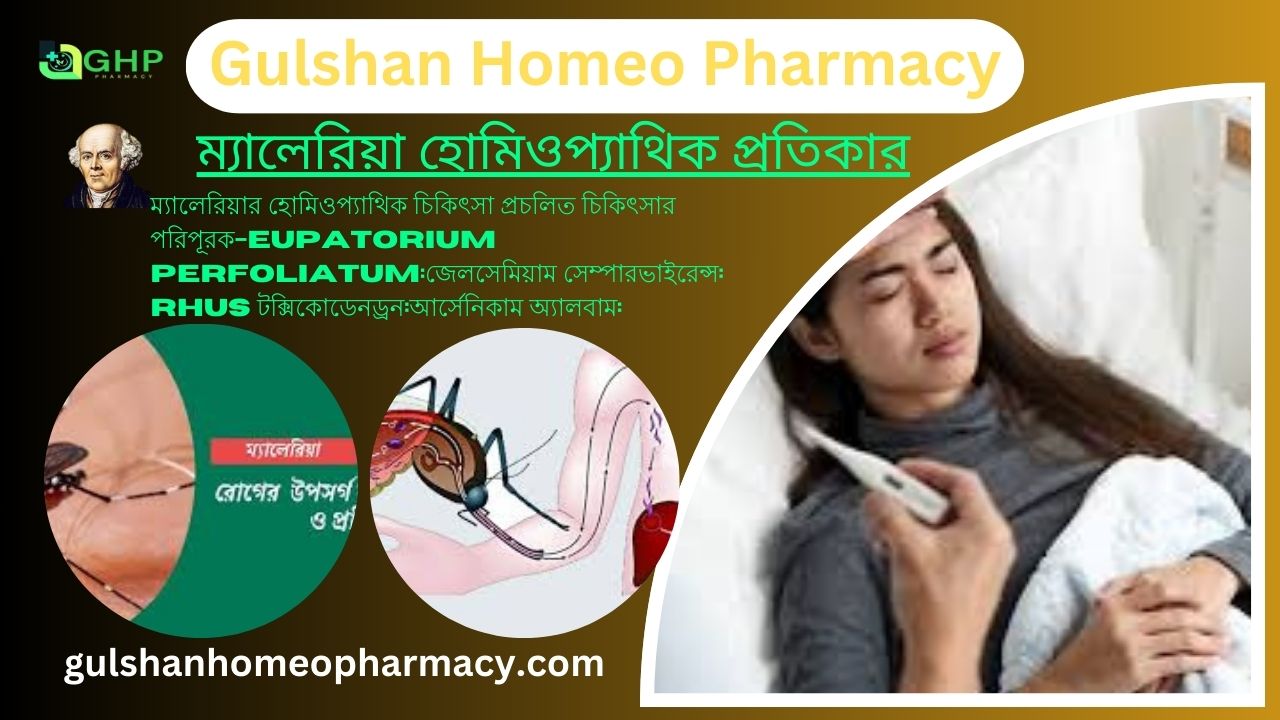 ম্যালেরিয়া কী? ম্যালেরিয়ার কারণ, ম্যালেরিয়ার ধরন, ম্যালেরিয়ার লক্ষণ, হোমিওপ্যাথিতে ম্যালেরিয়ার সমাধান