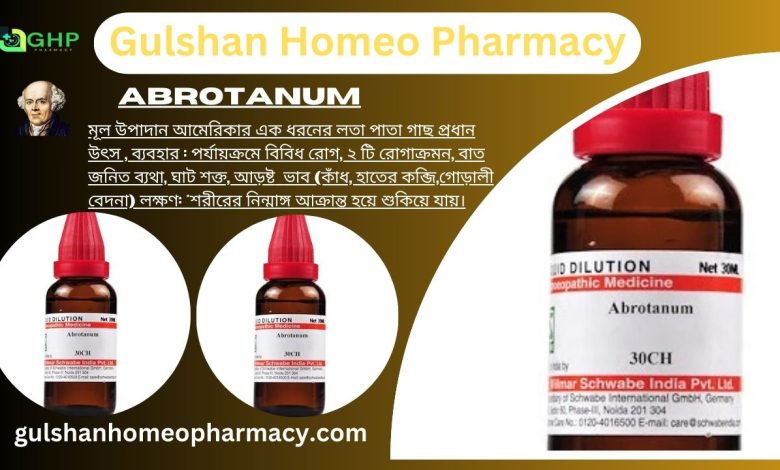 Abrotanum